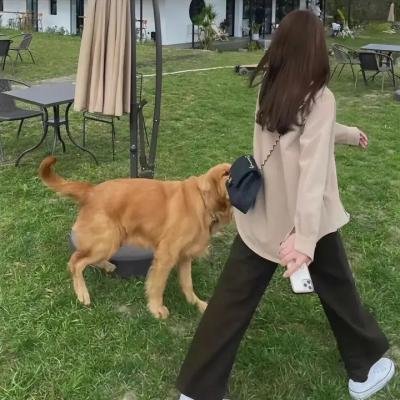 女奴
